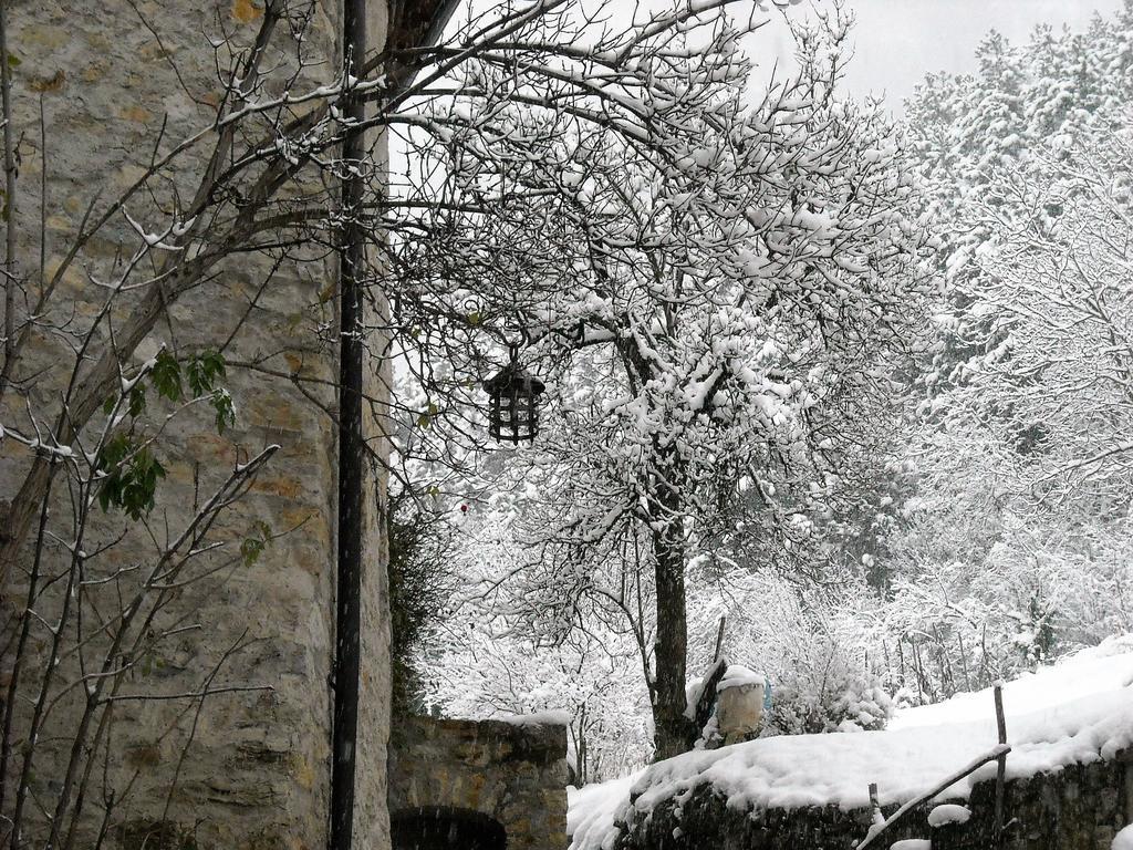 La Piazzetta Di Canale B&B Tenno Eksteriør bilde